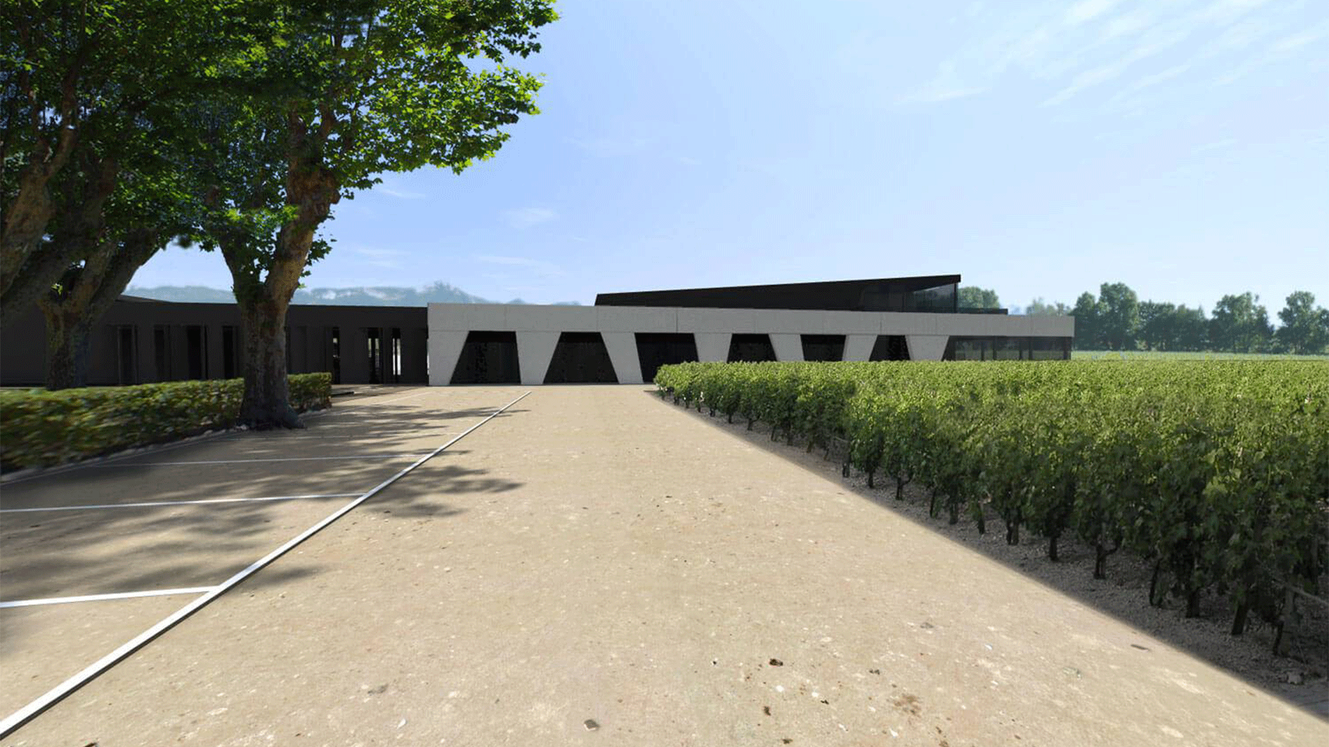 CHAI-GB_0002_cave-chai-caveau-vente-oenotourisme-bouche-du-rhone-13-architecte-_16_