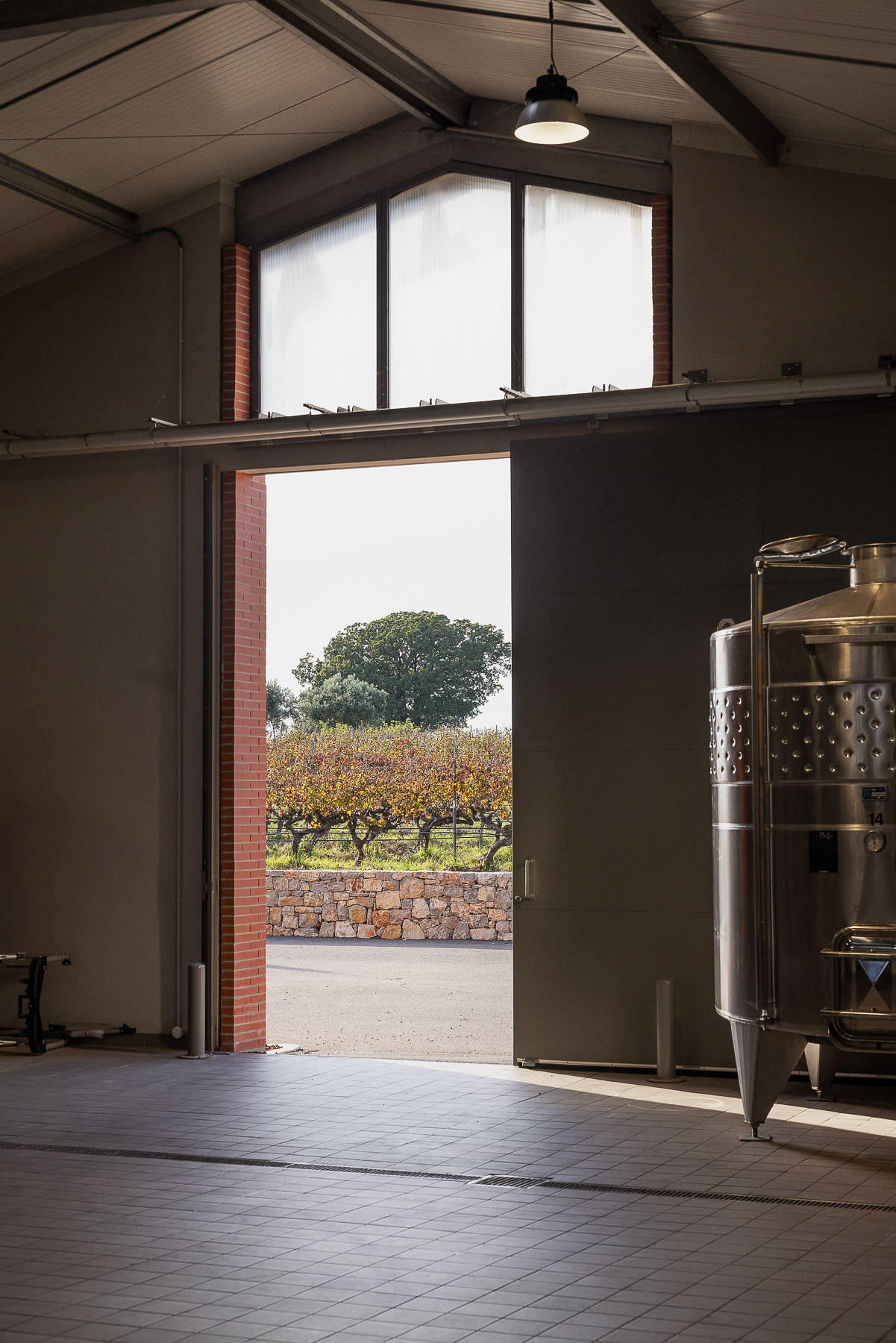 Briceportolano_Domaine_Bercail_26_Site