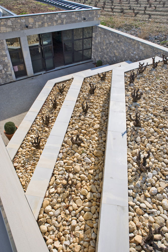 cave-caveau-activite-vente-boutique-oenotourisme-architecte-rasteau-84-(6)